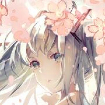 韩汶栩 在红树林吹号的鹦鹉鱼